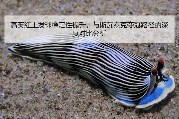 高芙红土发球稳定性提升，与斯瓦泰克夺冠路径的深度对比分析