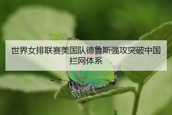 shi-jie-nv-pai-lian-sai-mei-guo-dui-de-lu-si-qiang-gong-tu-po-zhong-guo-lan-wang-ti-xi-3-201.jpg