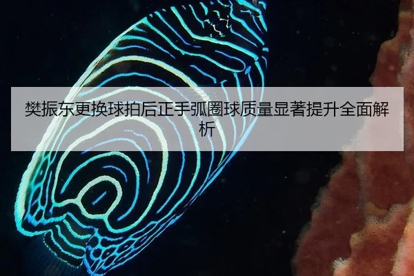 樊振东更换球拍后正手弧圈球质量显著提升全面解析