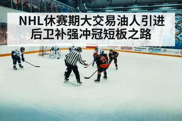 NHL休赛期大交易油人引进后卫补强冲冠短板之路